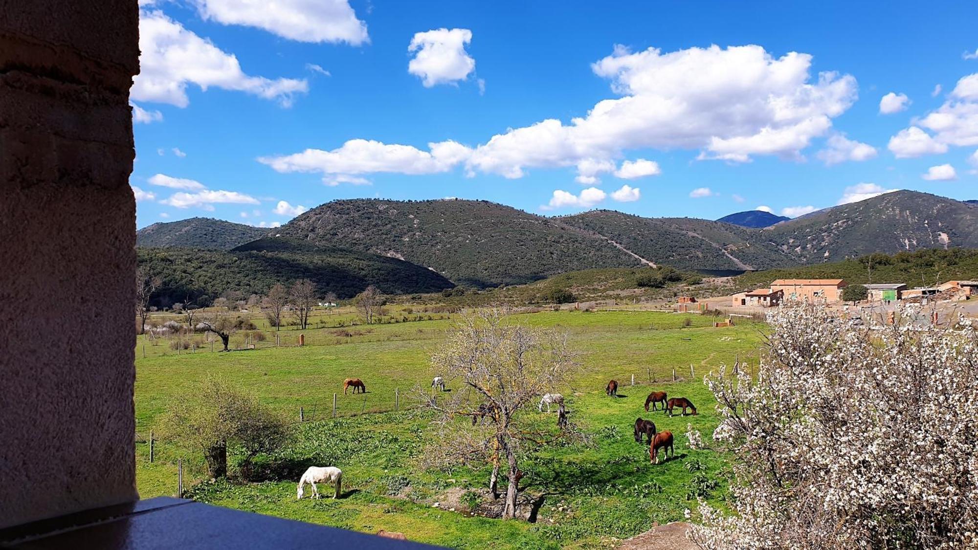 Casa Con Piscina En Parque Nacional De Cabaneros Navas de Estena Luaran gambar
